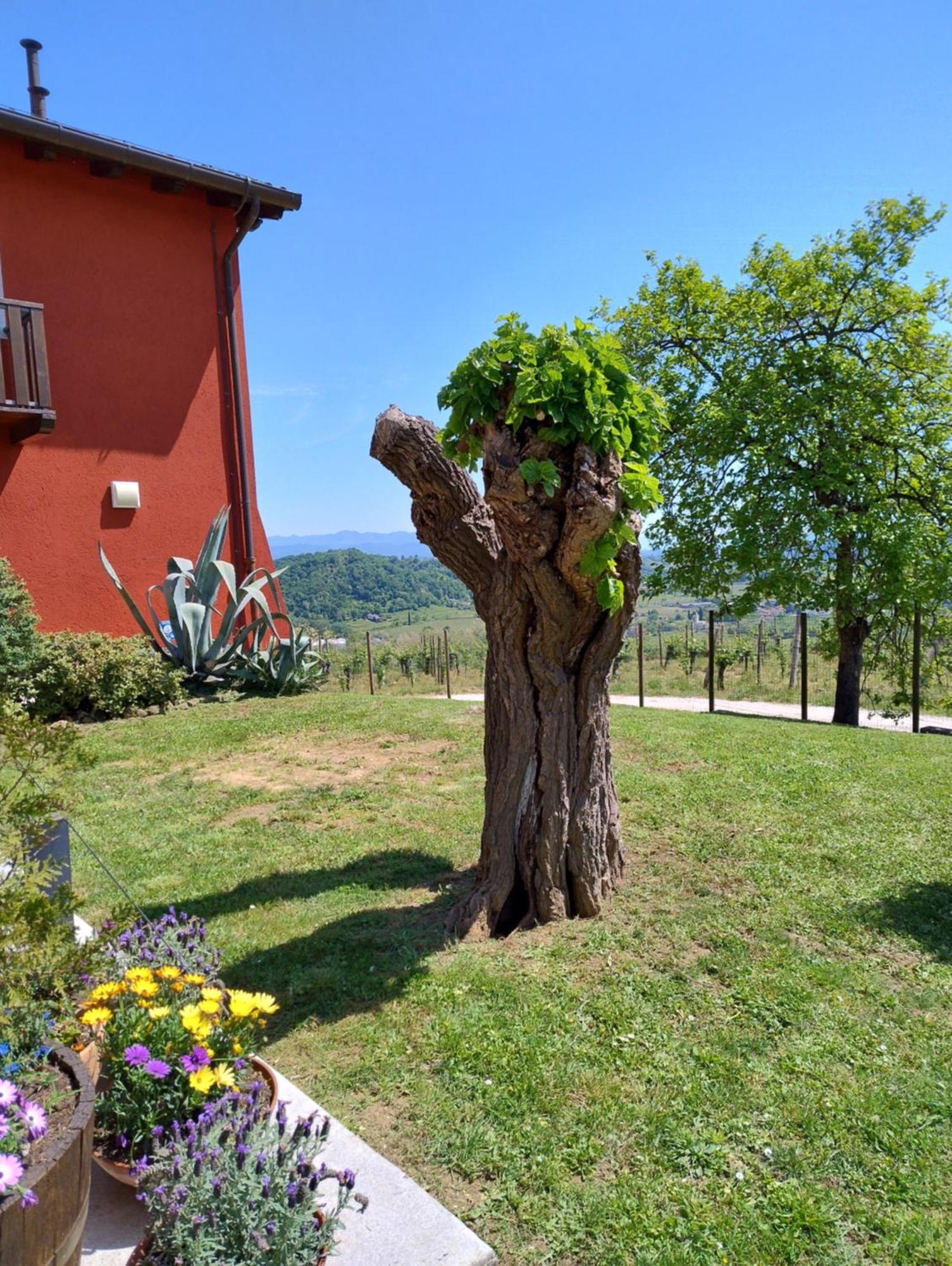 Le Badie Wine Resort Rosazzo Kültér fotó