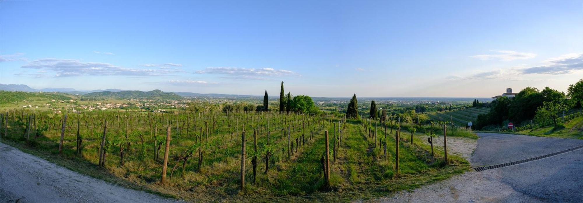 Le Badie Wine Resort Rosazzo Kültér fotó