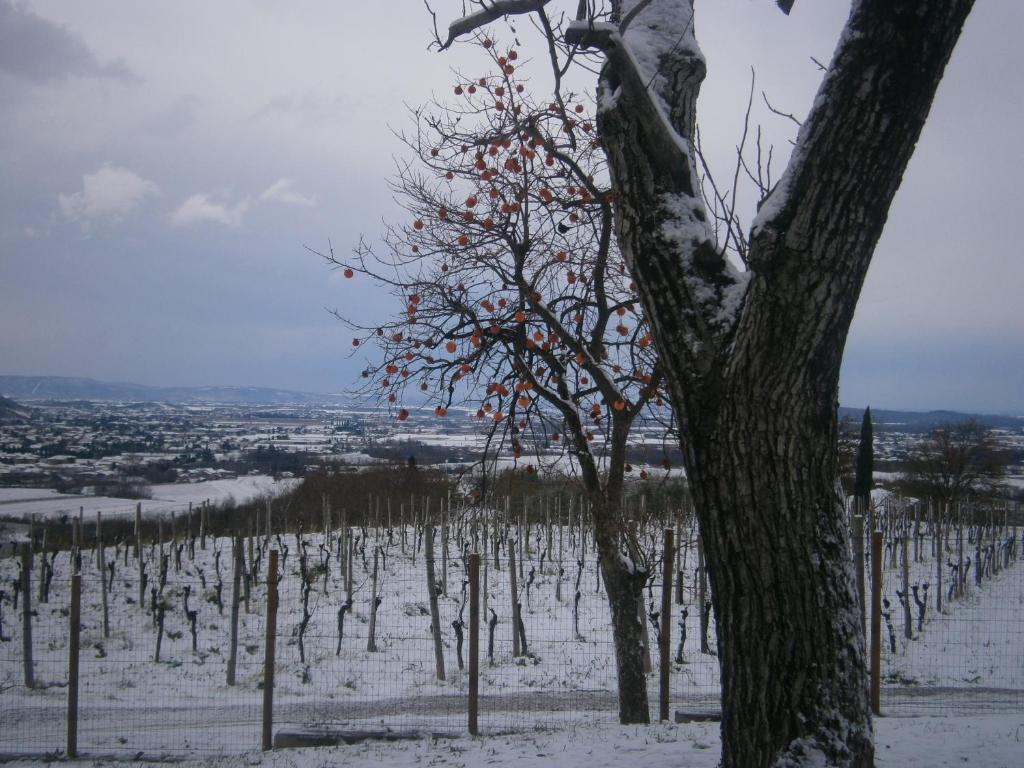 Le Badie Wine Resort Rosazzo Kültér fotó